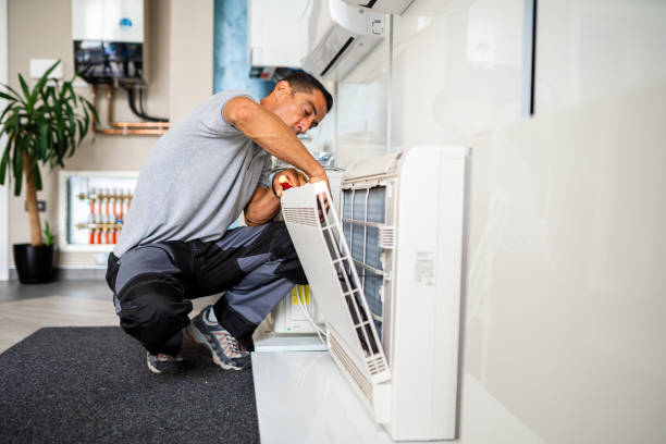 Best Home Air Vent Cleaning  in Gulf Breeze, FL
