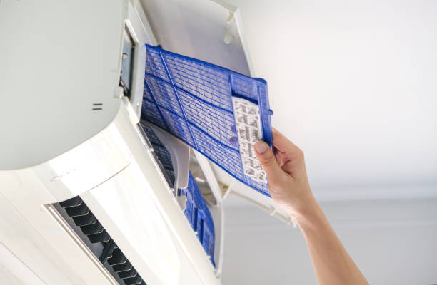 Air Duct Mold Removal in Gulf Breeze, FL